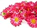 (100) Silk Hot Pink Gerbera Daisy Flower Heads , Gerber Daisies - 1.75