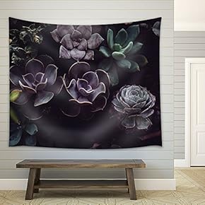 Groups of Succulent Plant - Fabric Wall Tapestry Home Decor - 51x60 inches