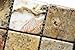Scabos 2 X 2 Tumbled Travertine Mosaic Tile - 6 X 6 Sample