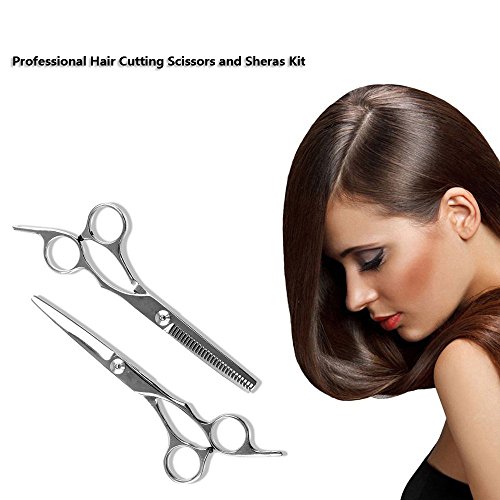 Hair Cutting Scissors/Shears and Barber Thinning/Salon Razor Edge Tools Set/Mustache Scissors with Fine Adjustment Screw Japanese Stainless Steel Kit-by Drift (Sliver-01)