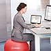 Exercise Ball (Multiple Sizes) for Fitness, Stability, Balance & Yoga - Workout Guide & Quick Pump Included - Anit Burst Professional Quality Design (Red, 55CM)