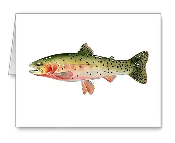 Cutthroat Trout Set of 10 Fly Fishing Note Cards With