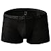sandbank Men's Sexy Lace Panties Underwear Sheer Low Rise Boxer Brief Underwear (US M, Black)