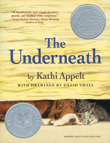 The Underneath (Thorndike Literacy Bridge Young Adult)