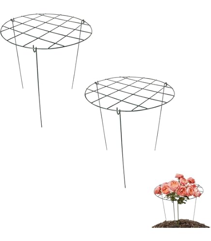 Peonies Support Heavy Duty Peony Cage Plant Support Home