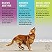 Maximum Strength Dog Glucosamine Chews - Hip and Joint Health Supplements - with Chondroitin, MSM, Turmeric, Vitamin C, and Omega 3, Hip Dysplasia, Chicken Flavored Treats