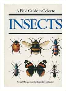 Amazon Com A Field Guide In Colour To Insects English