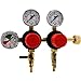 TapRite Separate Pressure Adjusting 2 Product CO2 Regulator primary