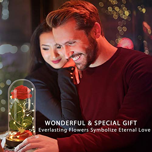 Dream of Flowers Beauty and The Beast Rose Kit, Red Silk Rose Lasts Forever in a Glass Dome with LED Lights, Gift for Women Mothers Day Valentine's Day Wedding Anniversary - Thumbnail 5