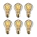 Brightech - The Original Hand Crafted Vintage Edison Light Bulbs - A19 40 Watt - 6 Pack - 18 Month Warranty