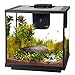 Aqueon 7.5 Gallon LED Shrimp Aquarium Kitthumb 3
