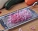 Culina Hand-held Fine Spice Grater 12.5