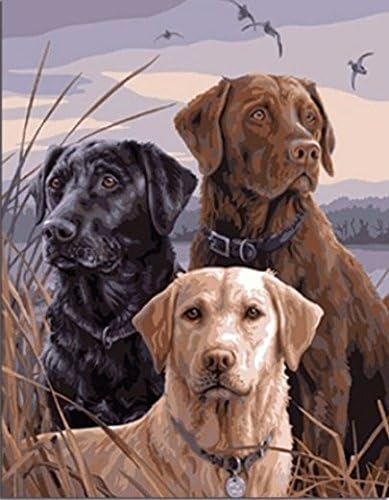 EBlank 5D Diamond Painting Full Drill Labrador Three Brothers DIY Diamond Paint by Kit for Home Wall Decoration