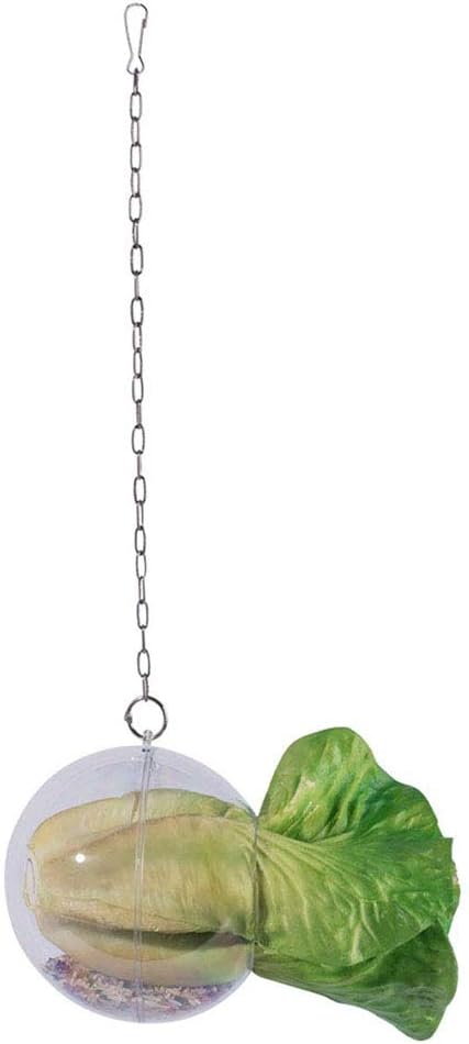 Macabolo Chicken Hanging Feeder Toy for Chicken Feeder Treat Ball with Veggie and Seed Feed for Pet Parrot Bird - Image 3