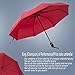 SY COMPACT Travel Umbrella Windproof Automatic Umbrella for Women red Umbrellas- Factory Outlet Shop
