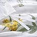 Wake In Cloud - Botanical Duvet Cover Set, 100% Cotton Bedding, Cottagecore Yellow Flowers and Green Leaves Floral Garden Pattern Printed on White (3pcs, King Size)