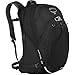 Osprey Packs Radial 34 Daypack, Black, Medium/Large
