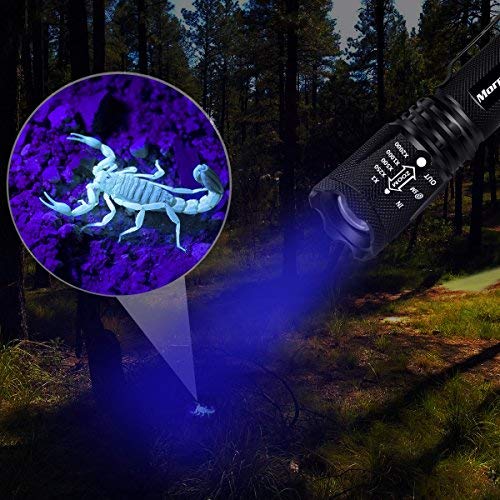 Morpilot 2 in 1 UV Tactical Flashlight Urine Detector, Upgrade 500LM Bright 4 Modes Handheld Flashlight with 395NM Ultraviolet Black Light for Spot Carpet Pet Urine Stain Catch Scorpions