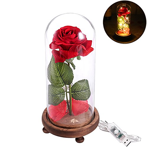 Beauty and Beast Roses, Dream Flower Red Silk Rose with LED Light and Fallen Petals on a Glass Dome Wooden Base, Best for Weddings, Anniversaries, Educational Gifts for Kids - Thumbnail 6