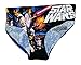 Star Wars Vintage Hipster Licensed Graphic Panties