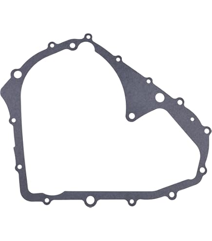 Amazon.com: Athena P400250850604 Complete Gasket Kit (KAWASAKI ZX