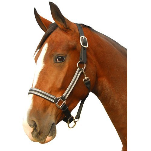 Intrepid International Leather Crown Breakaway Padded Halter, Full, Black/Silver