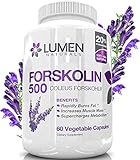 Forskolin 500mg 2X Strength 20% Standardized Fat Burner - Get the "Insta Belly Melt" Research Verified Forskolin for Weight Loss Pills - Metabolism Booster Shown to Rapidly Burn Fat