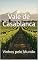 Livro Vale de Casablanca: Vinhos pelo Mundo (Wines of the World: Chile)
