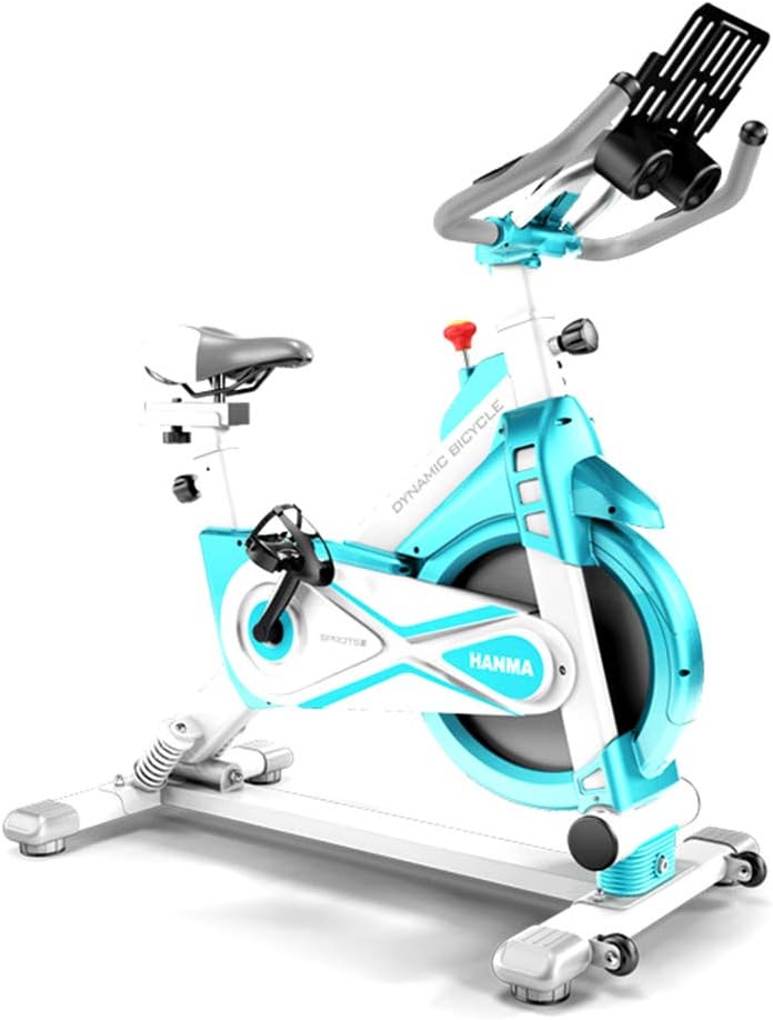 LOO LA Indoor Magnetic Control Exercise Bike,Swing On Both Sides Spin Bike Studio Cycles Adjustable Handlebars & Seat On Board,Blue