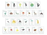 English Alphabet 5x7 Wall Cards, Alphabet Wall, Our World, Nature Themed, Kid's Wall Art, Nursery Decor, Kid's Room Decor, Gender Neutral Nursery Decor