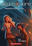 Sleuth or Dare #3: Framed & Dangerous