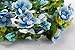 DreamLily Women's Flower Festival Wedding Hair Wreath Boho Floral Headband BC09(Blue)