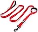 Primal Pet Gear Dog Leash 6ft Long,Traffic Padded Two Handle,Heavy Duty,Reflective Double Handles Lead for Control Safety Training,Leashes for Large Dogs or Medium Dogs,Dual Handles Leads(Red)