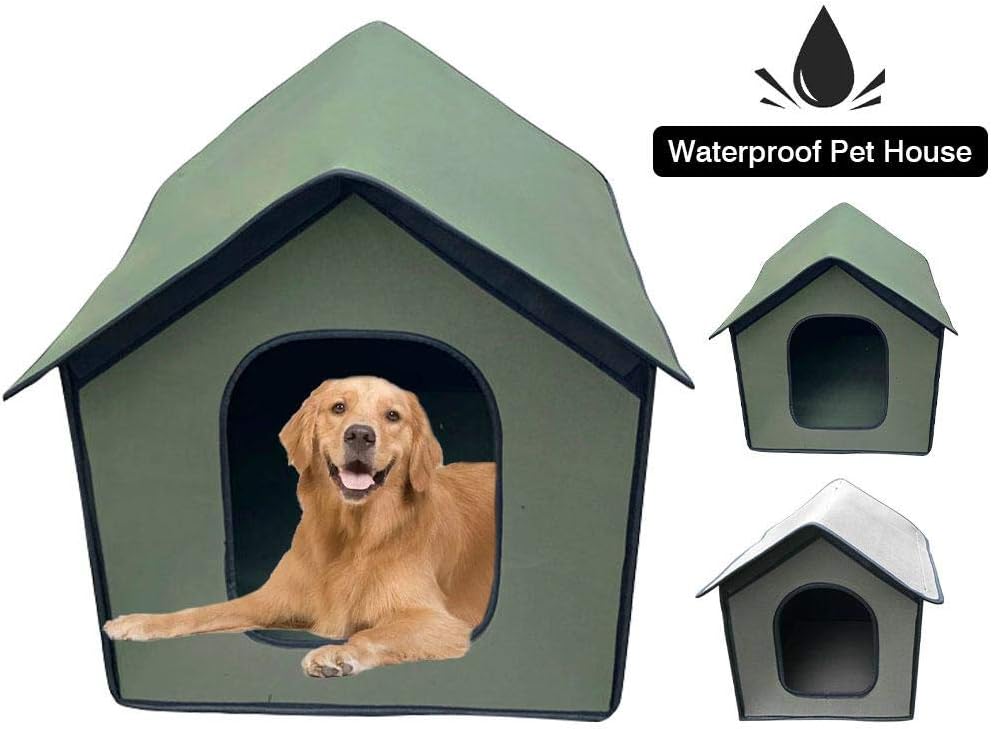 cathouse for dogs