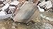 Georgetown Striped Flint (Chert) 20 lbs.