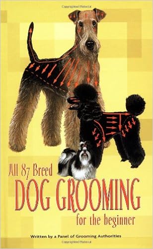 dog grooming for dummies