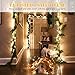 ON'H Christmas Lights 100-Count Clear Mini String Lights Set Indoor Outdoor Lighting for Christmas Tree Party Wedding Home Bedroom Grapevine Decoration 100 Bulbs Green Wire