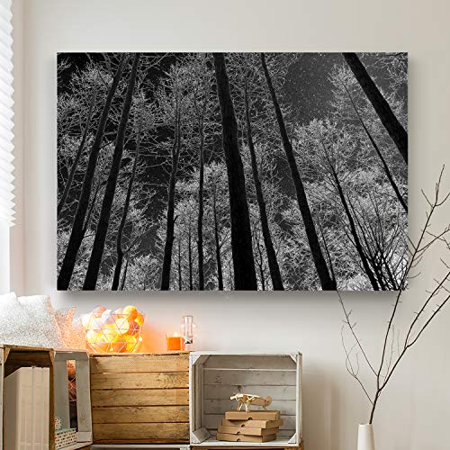 Night Sky Photographic Landscape Gallery Prints Decor Collection
