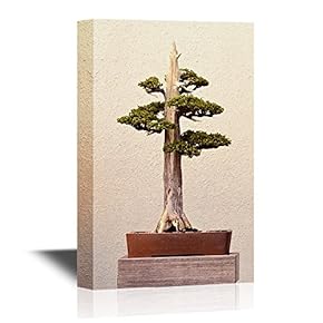 Bonsai Canvas Wall Art - Bonsai Plant with Broken Branch - Gallery Wrap Modern Home Art | Ready to Hang - 12x18 inches