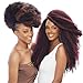 Janet Collection Synthetic Hair Braids Noir Afro Twist Braid (Marley Braid) (6-Pack, M27/613)
