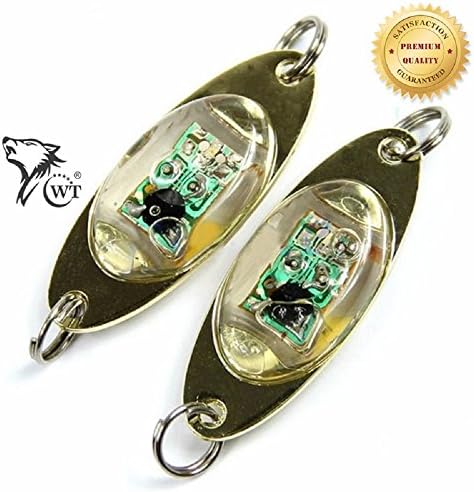 WT Fishing Lure Led Light Deep Drop Underwater - Flash Lamp Outdoor Fishing Multi Color ( Pack of 2)