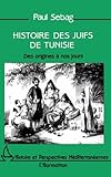 Histoire des Juifs de Tunisie: Des origines à nos jours (Collection Histoire et perspectives médi by 