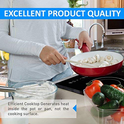 Baulia SB816 Induction Cooker Single Touch - 1800-Watt Countertop Burner for Fast Cooking, Precise Digital Temperature Control + 4 Hour Timer, 1800 Watt, Black