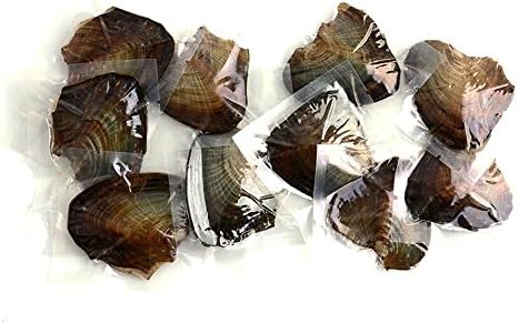 10 PC Akoya seawater Cultured Pearl Oyster Round Pearls with White/Pink/black, Birthday Gifts(6-7mm)
