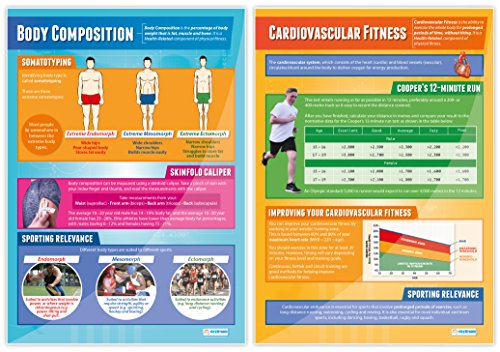 Components of Physical Fitness - Set of 12 PE Posters | Classroom Posters for PE | Gloss Paper measuring 33" x 23.5" | Phys Ed School Posters | Physical Education Gym Charts, by Daydream Education - Thumbnail 2