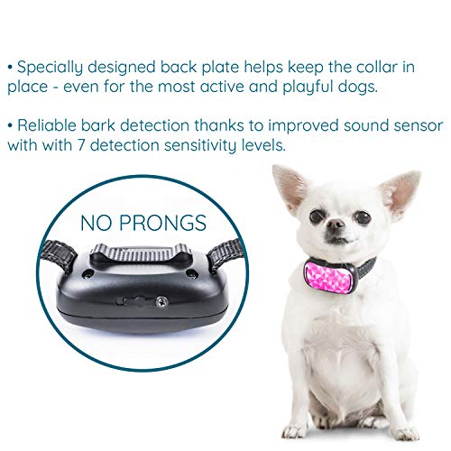 no prong bark collar
