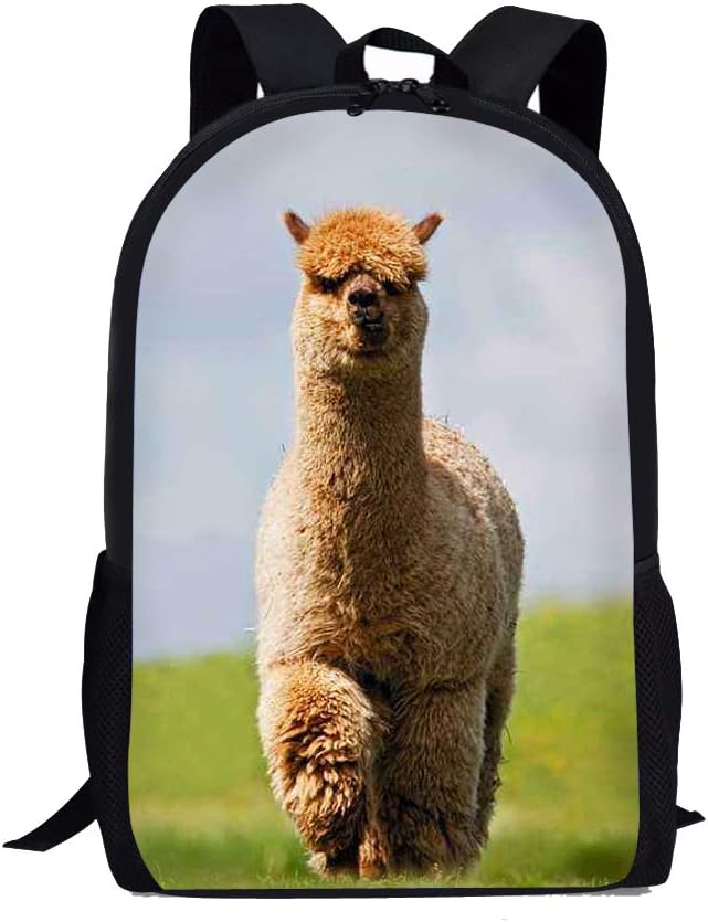 Beauty Collector 3D Animal Print Lightweight Backpacks Casual School Bags Daypacks