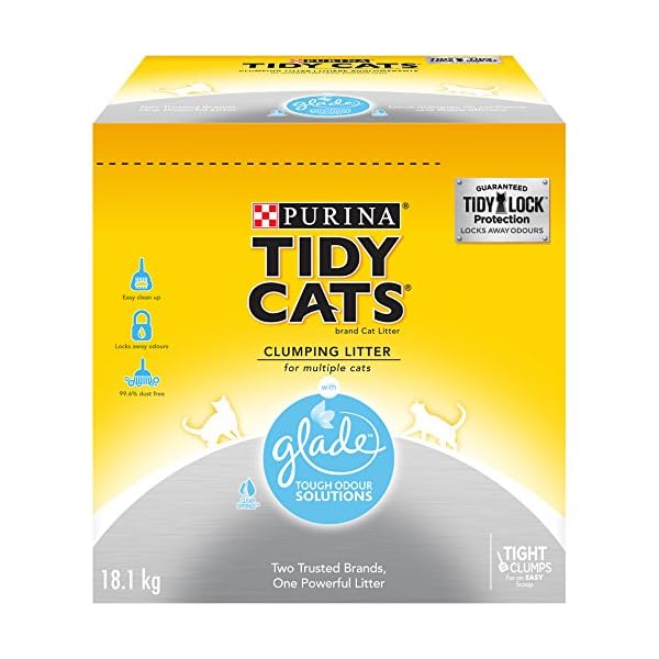 justin bartlett adoption center