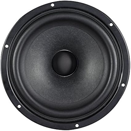 5.25 full range speaker