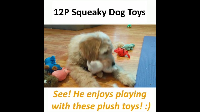 dog toy squeakers bulk